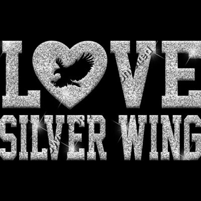 GLT51 SILVER GLITTER Thumbnail